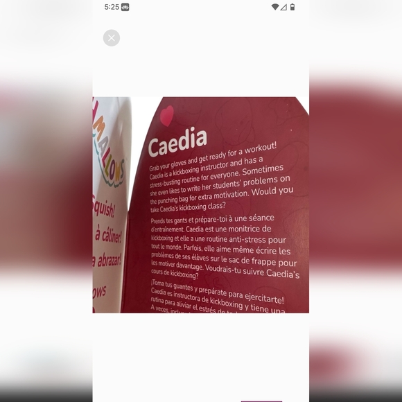 Squishmallow Caedia Valentine's Day Treat Pail /Purse - Picture 3 of 5